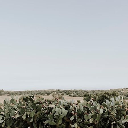 Bibbia- Tenuta Di Campagna 帕拉佐洛阿克雷伊德 外观 照片