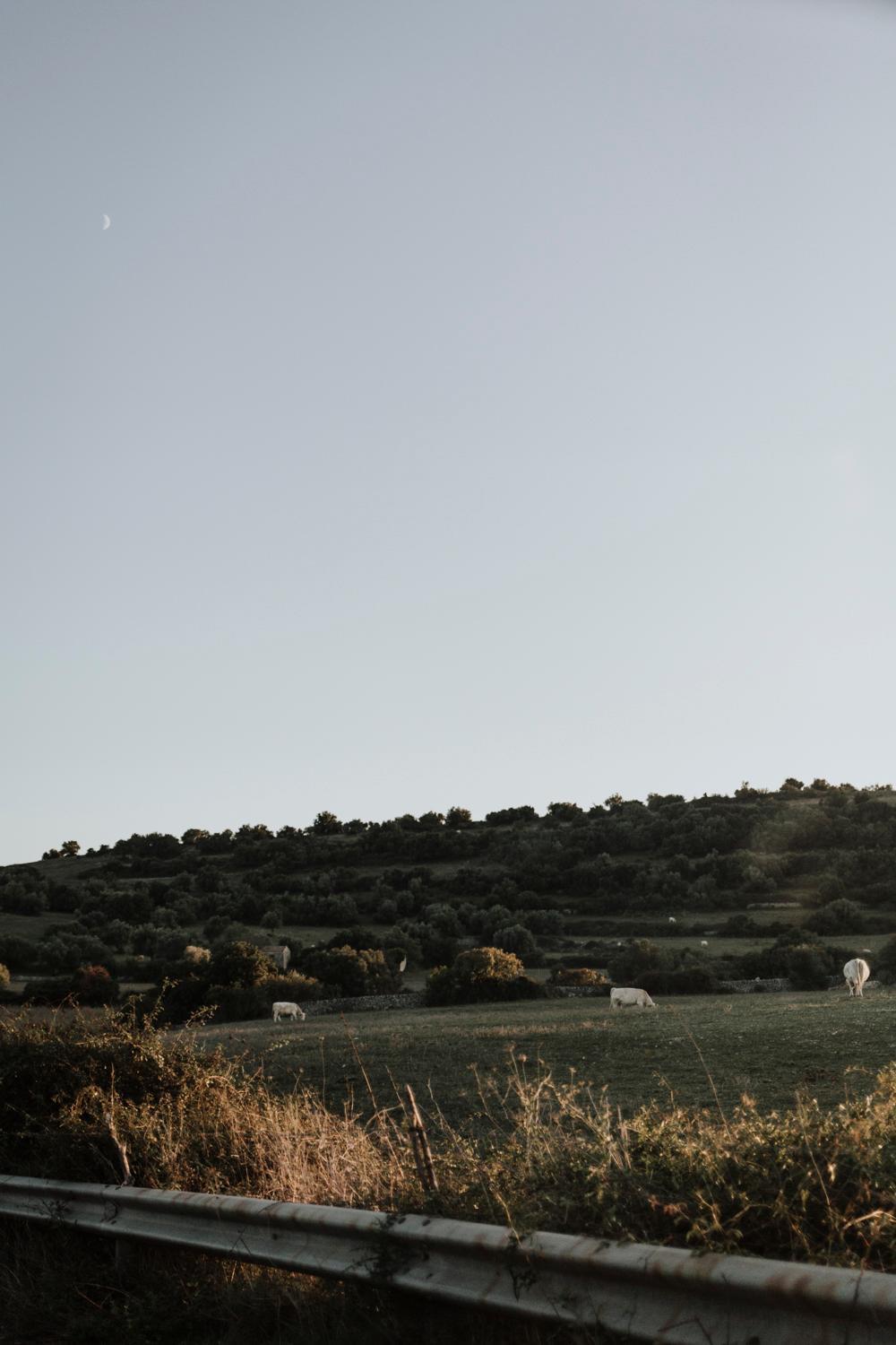 Bibbia- Tenuta Di Campagna 帕拉佐洛阿克雷伊德 外观 照片